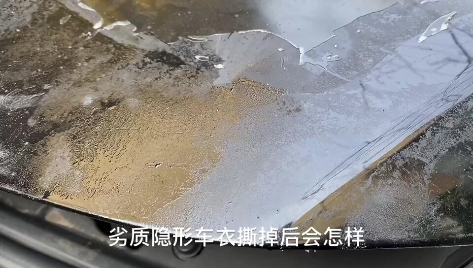 劣質膜掉膠嚴重，毀壞原廠車漆