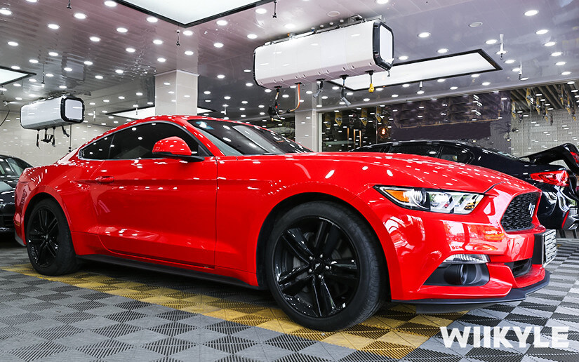 福特施工WIIKYLE漆面保護膜整車效果圖